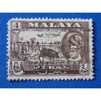 Малайские штаты 1957 г. Штат Перак .Султан  и буйвол.