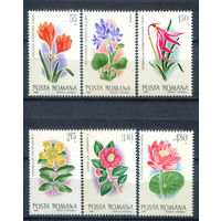 Румыния - 1980г. - Цветы - полная серия, MNH, 1 марка с отпечатком на клее, номинал 25 B с маленьким пятнышком на лицевой стороне [Mi 3721-3726] - 6 марок