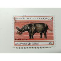 Конго 1994. Доисторические слоны. Фауна