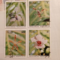 Куба 1973. Флора. Цветы