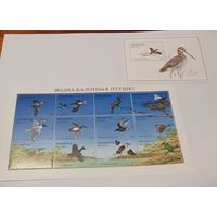 Водно-болотные птицы 1996 год