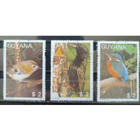 Гайана 1987г. Птицы