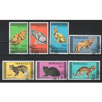 Кошки Монголия  1987 год серия из 7 марок