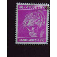 Бангладеш. Тигр.