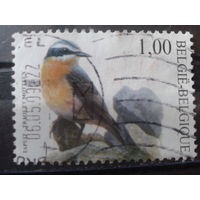 Бельгия 2002 Стандарт, птица 1,00