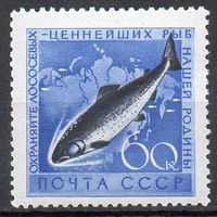 Охрана морской фауны СССР 1959 год 1 марка