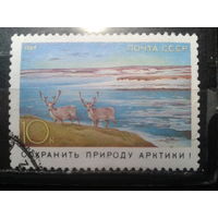 1989 Природа Арктики