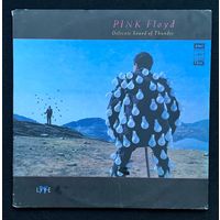 Pink Floyd (2LP) – Delicate Sound Of Thunder