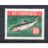 Рыбы Албания 1964 год 1 марка