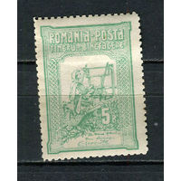 Королевство Румыния - 1906 - Благотворительность 5B - [Mi.166A] - 1 марка. MH.  (Лот 40EP)-T2P29