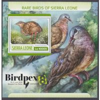 2017 Сьерра-Леоне 8634/B1255 Птицы - редкие птицы 11,00 евро