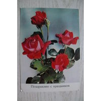 Поздравляю с праздником! 1974, чистая (цветы, розы, ГДР).