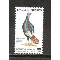 КГ Мексика 1980 Птица