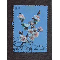 Корея 1975 г. Цветы.