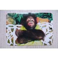 Календарик, 2003, Все виды фотоуслуг (обезьяна).