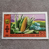 Монголия 1972. Кукуруза