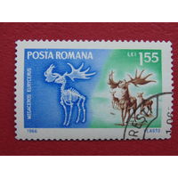 Румыния 1966 г. Фауна.