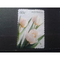 Австралия 2010 Цветы