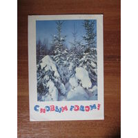 Почтовая открытка.1966г.И.Дергилева.