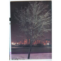 Природа. Зимний вечер Фото А. Бомзы. 1985 год