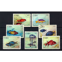1969 Куба. Рыбы