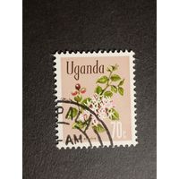 Уганда 1969. Флора