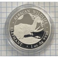 Слон 1 Oz Серебряная монета 100 Шиллингов Сомали 2023