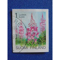 Финляндия. Цветы.