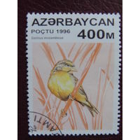 Азербайджан  1996 г. Птицы.
