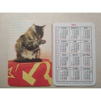 Карманный календарик. Котик. 1991 год