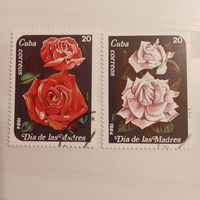 Куба 1984. Флора. Цветы. Розы