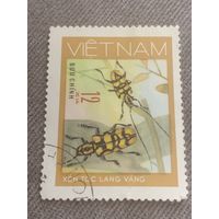 Вьетнам. Насекомые