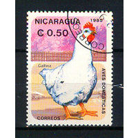 1985 Никарагуа. Курица