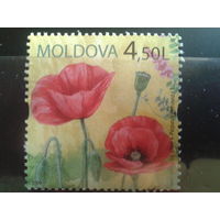 Молдова 2009 Маки, марка из блока Михель-3,0 евро гаш