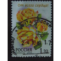 Россия 1999 г. Розы.