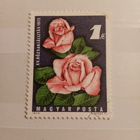 Венгрия 1972. Флора. Цветы. Роза