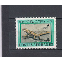 Фауна. Ящерица. Афганистан. 1966. 1 марка. Michel N 958 (1,4 е)
