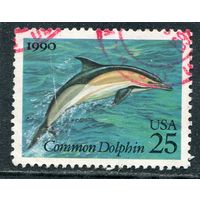 США. Морская фауна. Дельфин