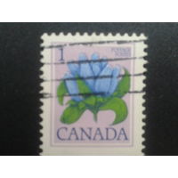 Канада 1977 цветы
