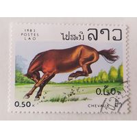 Лаос 1983, лошади