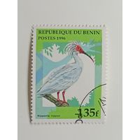 Бенин 1996. Птицы