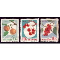 3 марки 1966 год КНДР Флора 755-756,758