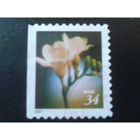 США 2001 стандарт, цветок