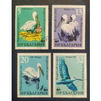 Болгария 1984 птицы.
