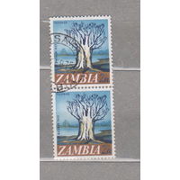 Живопись искусство картины Замбия 1968 год лот 1040 СЦЕПКА