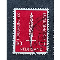 Нидерланды, 1м  10 лет освобождения, 1955