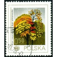 Охрана природы. Деревья Польша 1978 год 1 марка