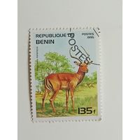 Бенин 1995. Млекопитающие