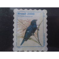 Бразилия 2000 Стандарт, птица Михель-5,0 евро