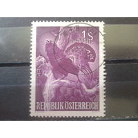 Австрия 1959 Глухарь